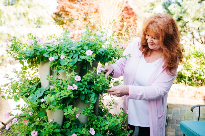 Cultivate Your Dream Home Garden